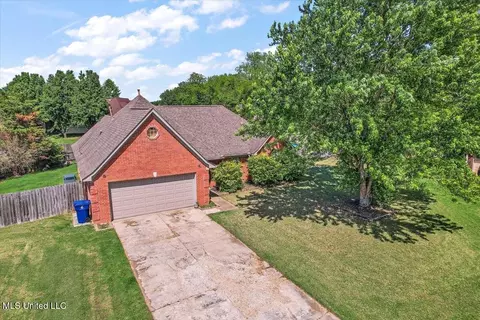 View/Area - 6800 E Ranch Ridge Cv, Walls, MS 38680 photo 10 of 12