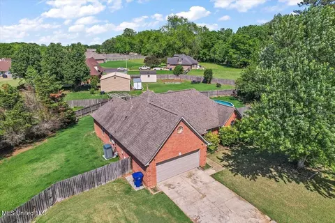 View/Area - 6800 E Ranch Ridge Cv, Walls, MS 38680 photo 7 of 12