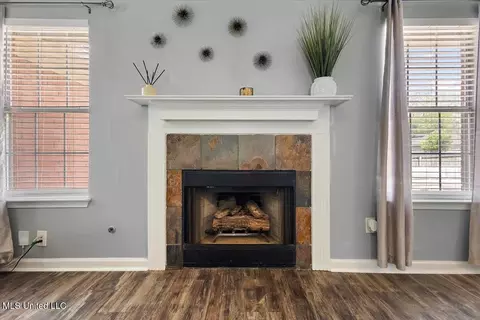 Other - 6800 E Ranch Ridge Cv, Walls, MS 38680 photo 1 of 6
