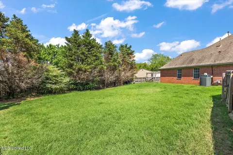 Exterior - 6800 E Ranch Ridge Cv, Walls, MS 38680 photo 7 of 8