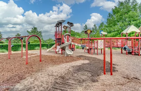 Other - 107 Chadwyck Ct, Madison, MS 39110 photo 18 of 19