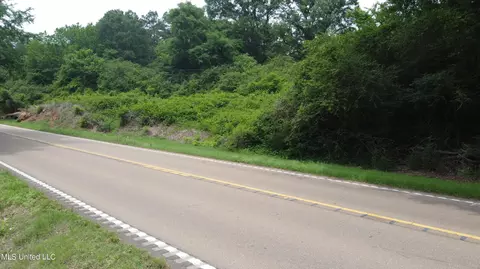 Highway 4 E, Senatobia, MS 38668 photo 5