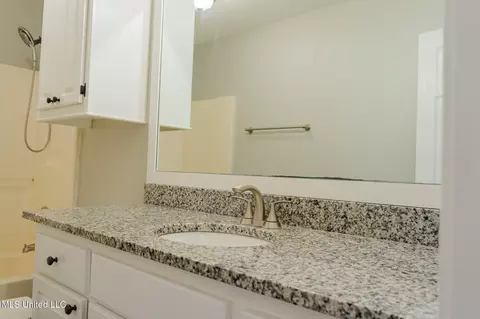 Bath - 122 Fox Meadow Dr, Brandon, MS 39042 photo 9 of 10