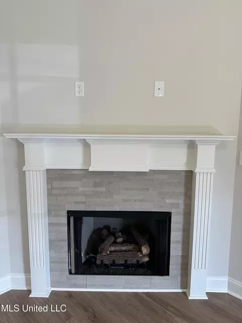 Other - 885 Collie Dr, Hernando, MS 38632 photo 1 of 4