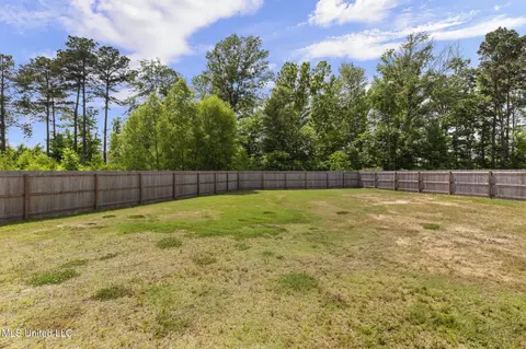 Exterior - 123 Bailey Cv, Canton, MS 39046 photo 10 of 10