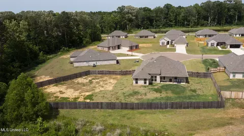 View/Area - 123 Bailey Cv, Canton, MS 39046 photo 9 of 12