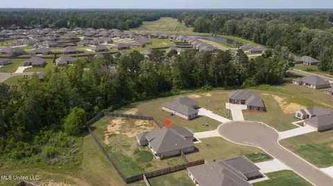 View/Area - 123 Bailey Cv, Canton, MS 39046 photo 8 of 12