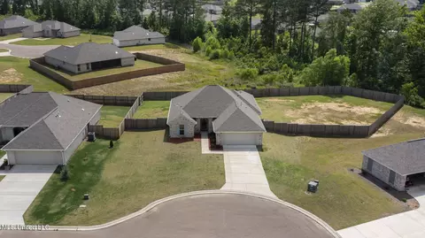 View/Area - 123 Bailey Cv, Canton, MS 39046 photo 1 of 12