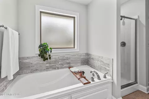 Bath - 123 Bailey Cv, Canton, MS 39046 photo 1 of 5