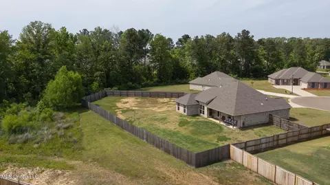 View/Area - 123 Bailey Cv, Canton, MS 39046 photo 11 of 12
