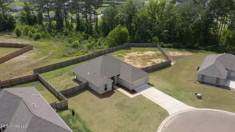 View/Area - 123 Bailey Cv, Canton, MS 39046 photo 3 of 12