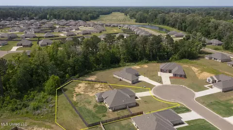 View/Area - 123 Bailey Cv, Canton, MS 39046 photo 10 of 12