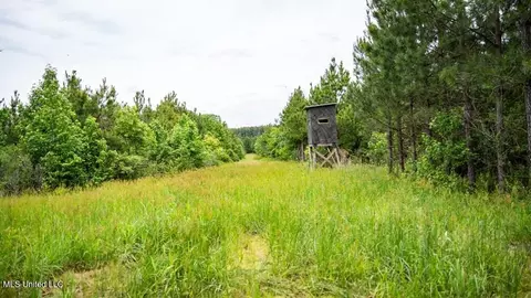 7399 Amon Hill Rd, Bastrop, MS 71220