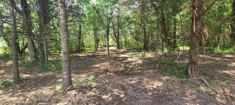 33 Shamrock Loop, Byhalia, MS 38611 photo 7