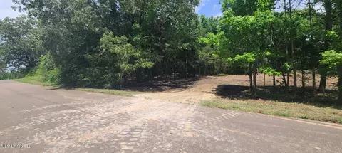 33 Shamrock Loop, Byhalia, MS 38611 photo 3