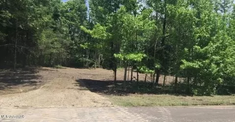 33 Shamrock Loop, Byhalia, MS 38611 photo 4