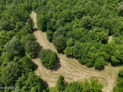0001 Ingram Rd, Benton, MS 39039 photo 10
