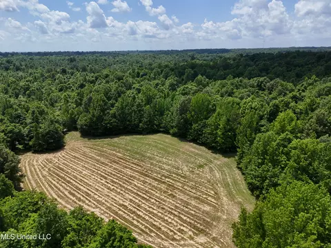 0001 Ingram Rd, Benton, MS 39039 photo 33