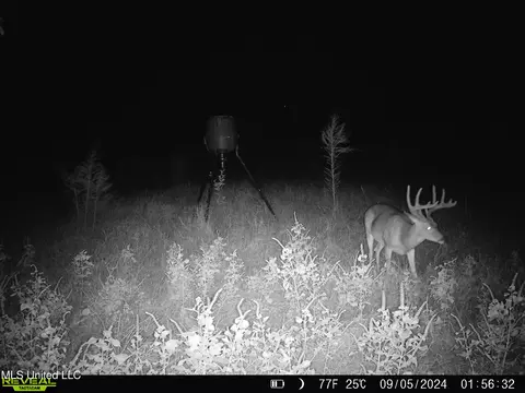 0001 Ingram Rd, Benton, MS 39039 photo 2