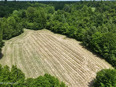 0001 Ingram Rd, Benton, MS 39039 photo 6