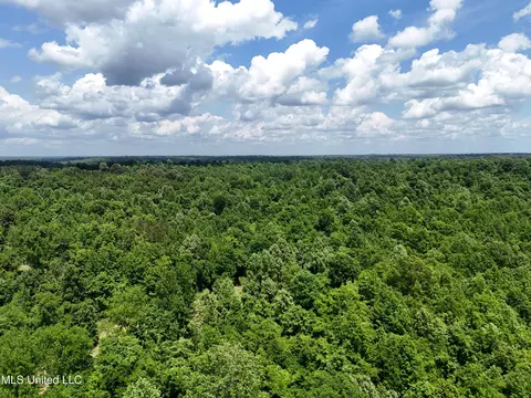 0001 Ingram Rd, Benton, MS 39039 photo 24