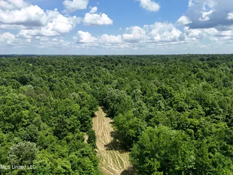 0001 Ingram Rd, Benton, MS 39039 photo 29