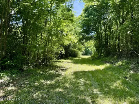0001 Ingram Rd, Benton, MS 39039 photo 27