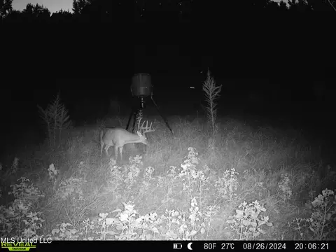 0001 Ingram Rd, Benton, MS 39039 photo 23