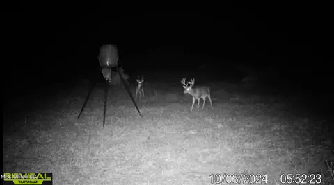 0001 Ingram Rd, Benton, MS 39039 photo 35
