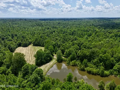 0001 Ingram Rd, Benton, MS 39039 photo 4