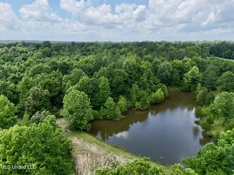 0001 Ingram Rd, Benton, MS 39039 photo 25