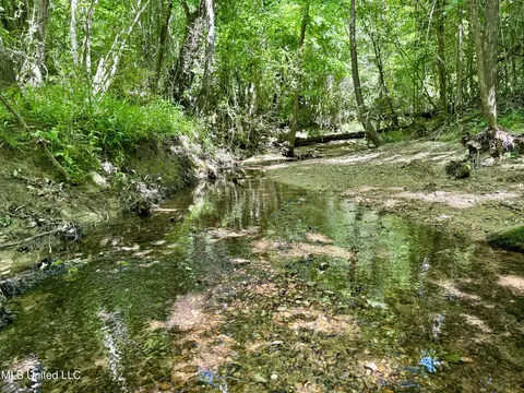 0001 Ingram Rd, Benton, MS 39039 photo 14