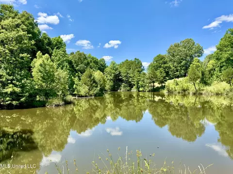 0001 Ingram Rd, Benton, MS 39039