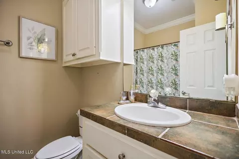 123 Sara Fox Dr, Brandon, MS 39047 photo 34