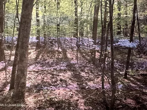 Stigler Rosa Dr., Florence, MS 39073