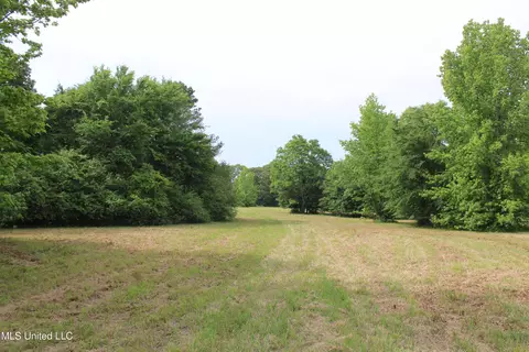 656 Sunset Dr, Coldwater, MS 38618 photo 36