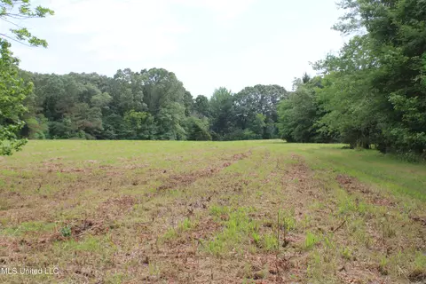 656 Sunset Dr, Coldwater, MS 38618 photo 19