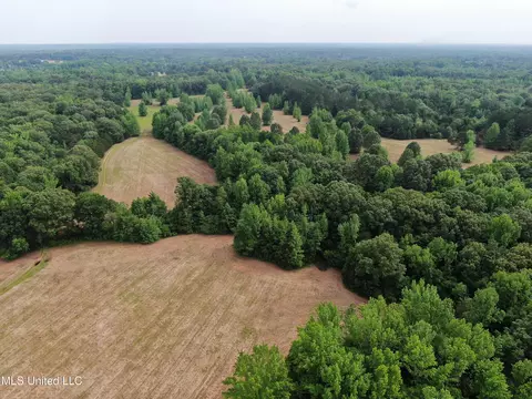 656 Sunset Dr, Coldwater, MS 38618 photo 8
