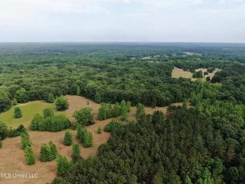 656 Sunset Dr, Coldwater, MS 38618 photo 14