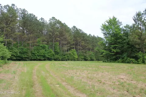 656 Sunset Dr, Coldwater, MS 38618 photo 16