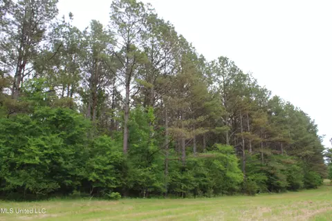 656 Sunset Dr, Coldwater, MS 38618 photo 39