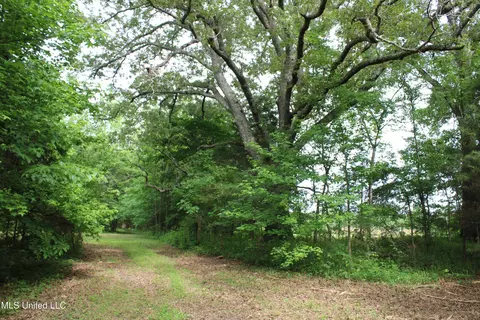 656 Sunset Dr, Coldwater, MS 38618 photo 34