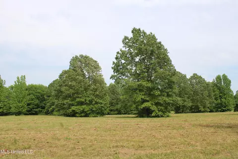 656 Sunset Dr, Coldwater, MS 38618 photo 35
