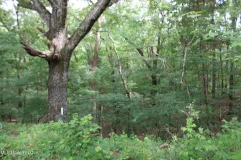 656 Sunset Dr, Coldwater, MS 38618 photo 25