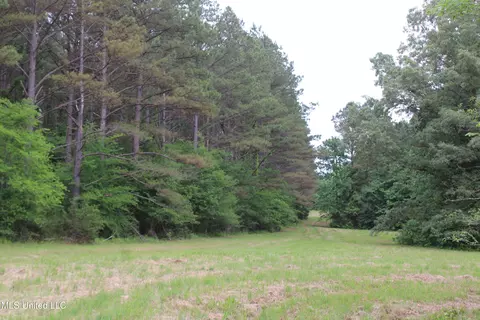 656 Sunset Dr, Coldwater, MS 38618 photo 40