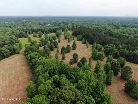 656 Sunset Dr, Coldwater, MS 38618 photo 10