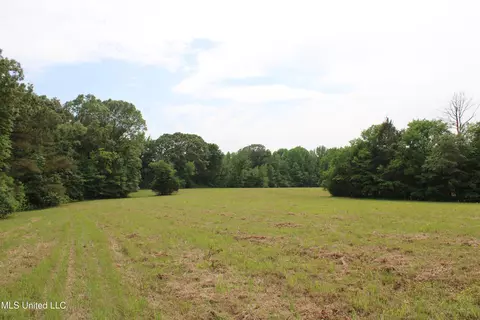 656 Sunset Dr, Coldwater, MS 38618 photo 20