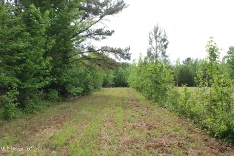 656 Sunset Dr, Coldwater, MS 38618 photo 31