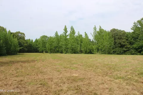 656 Sunset Dr, Coldwater, MS 38618 photo 32