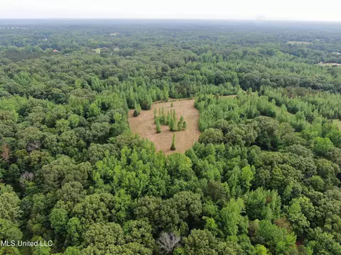 656 Sunset Dr, Coldwater, MS 38618 photo 13